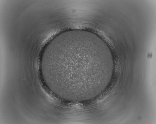 X0000090990683200708091519