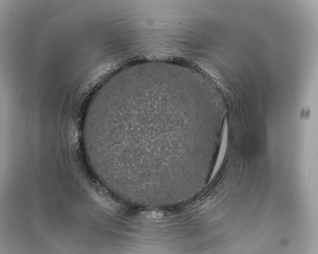 X0000090990687200708091519