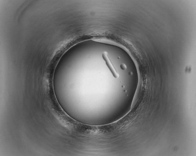 X0000090990688200708091519