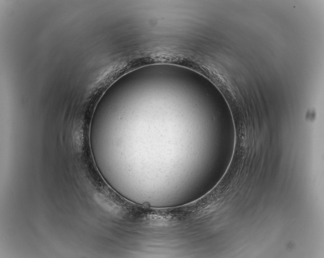 X0000090990690200708091519