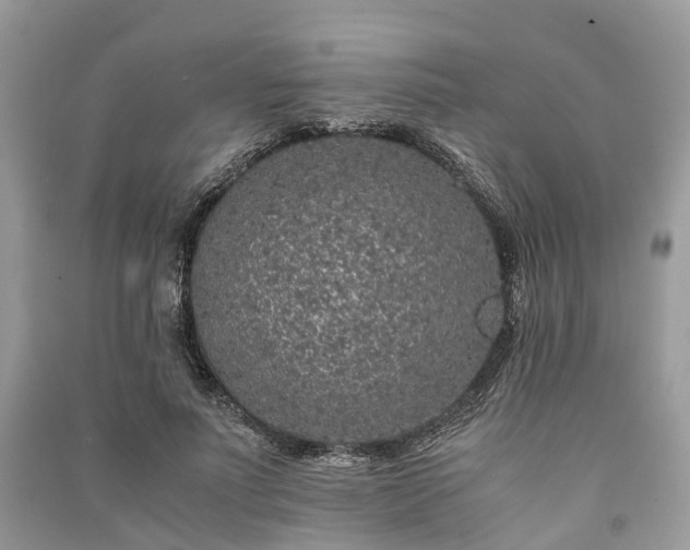 X0000090990691200708091519