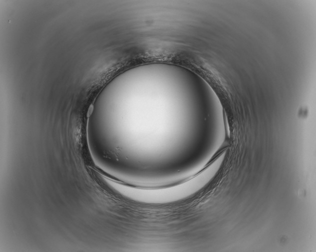 X0000090990693200708091519