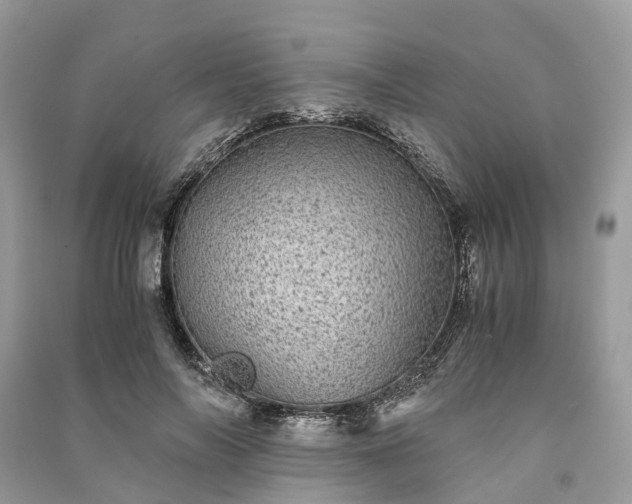 X0000090990694200708091519