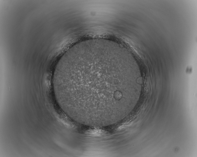 X0000090990695200708091519