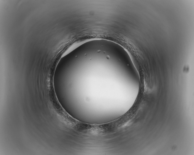 X0000090990696200708091519