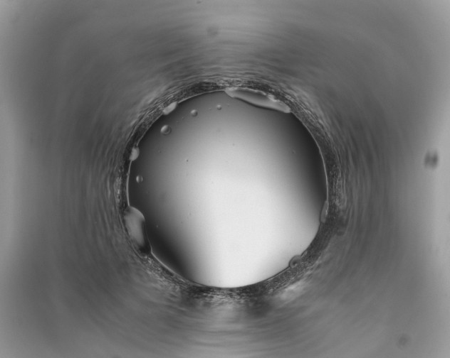 X0000090990697200708091519