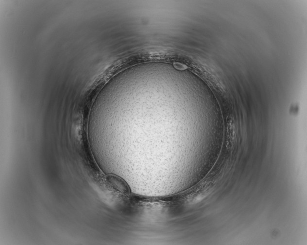 X0000090990698200708091519