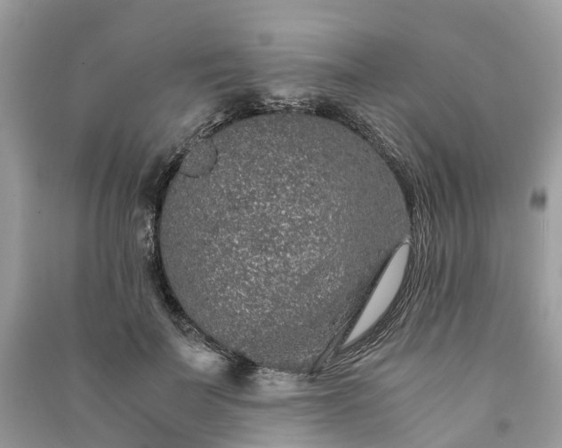 X0000090990699200708091519