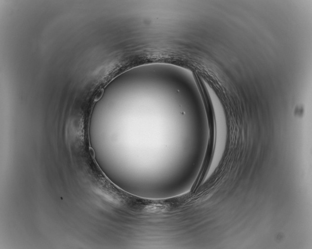 X0000090990700200708091519