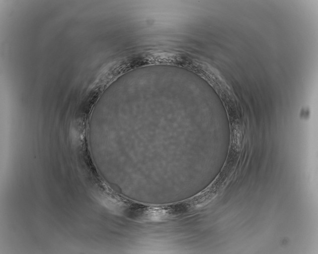 X0000090990701200708091519