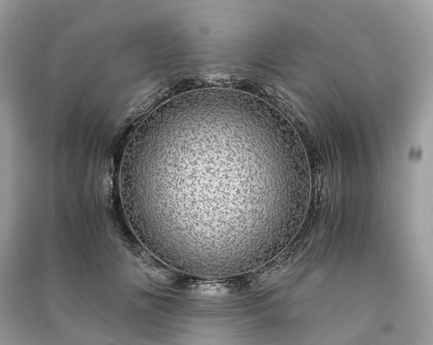 X0000090990702200708091519