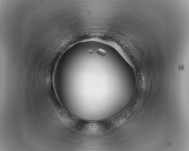 X0000090990704200708091519