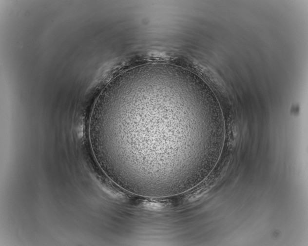 X0000090990706200708091519