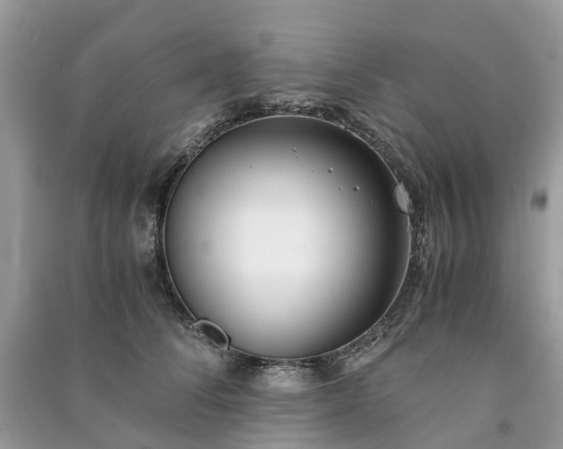 X0000090990708200708091519