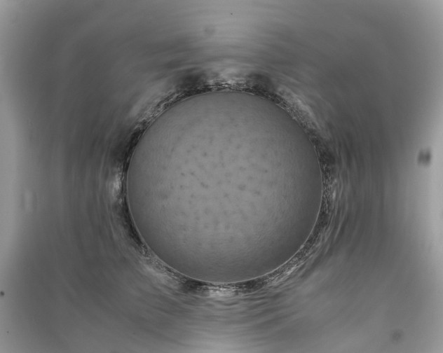 X0000090990709200708091519