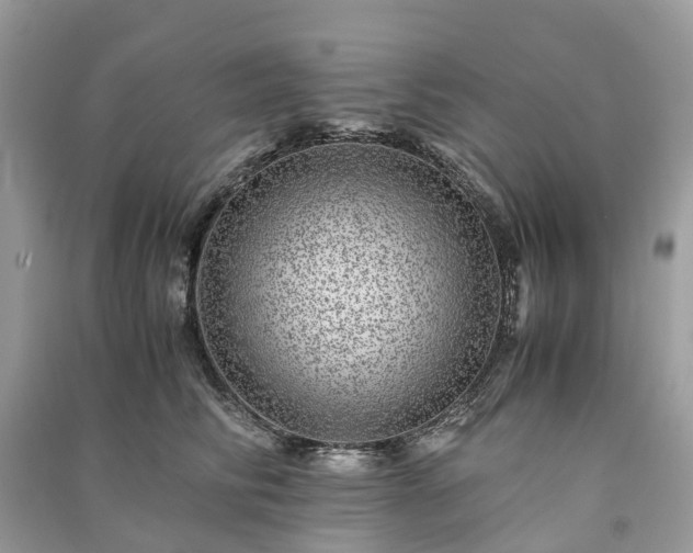 X0000090990710200708091519