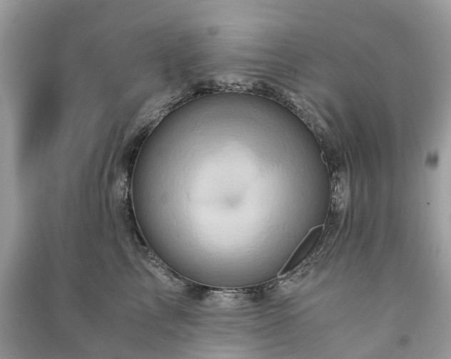 X0000090990713200708091519