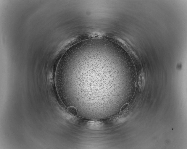 X0000090990714200708091519