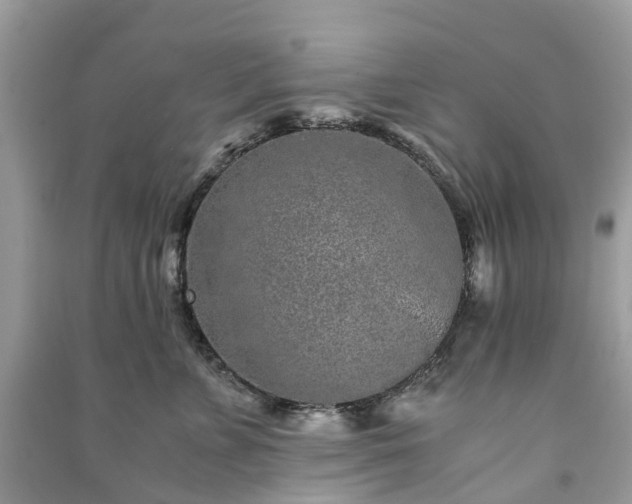 X0000090990715200708091519