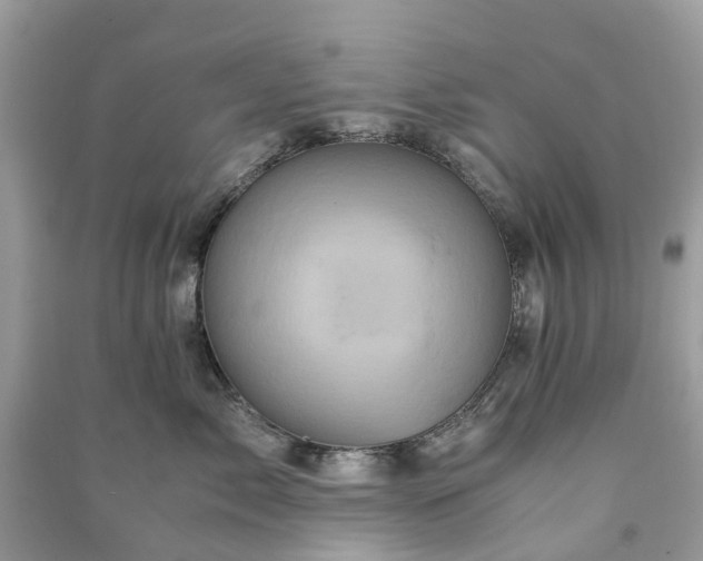 X0000090990717200708091519