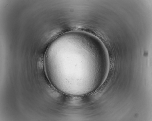 X0000090990719200708091519