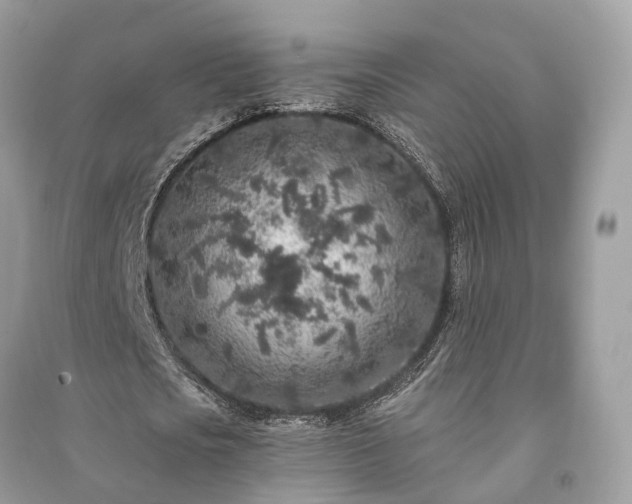 X0000090990721200708091518