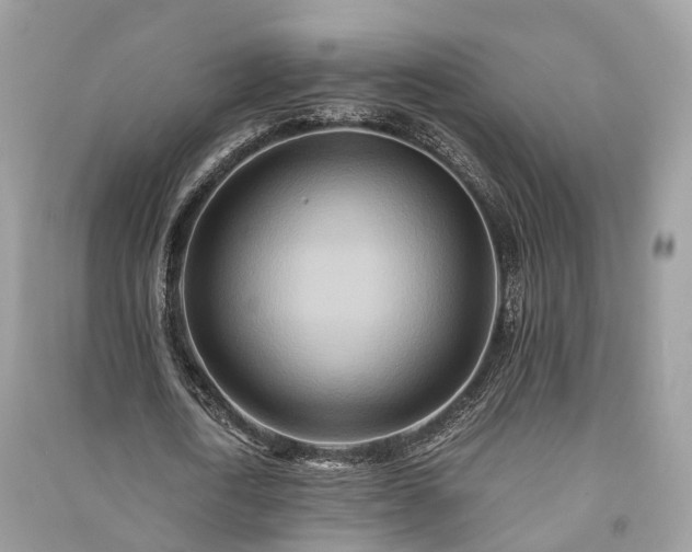 X0000090990722200708091518