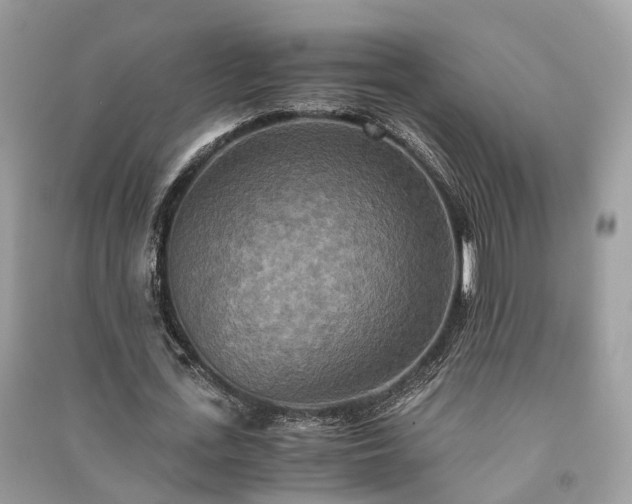 X0000090990723200708091518