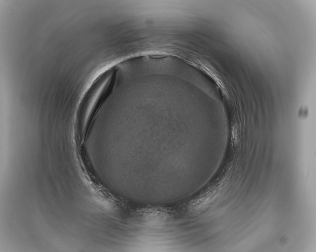 X0000090990724200708091518