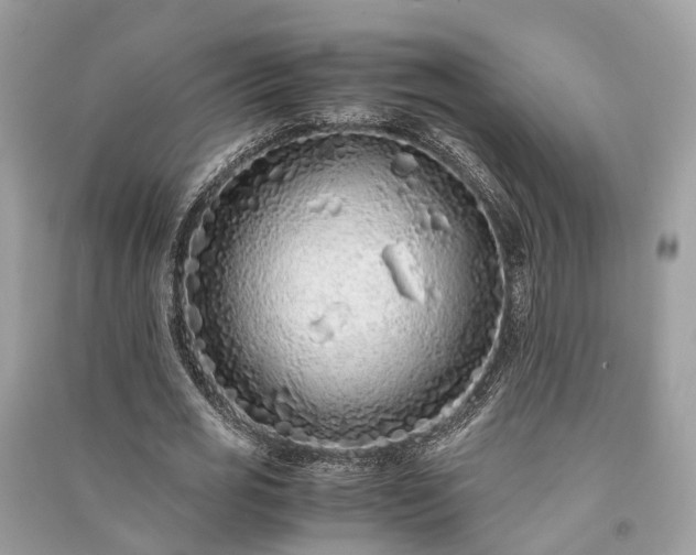 X0000090990725200708091518