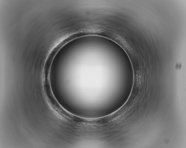 X0000090990726200708091518