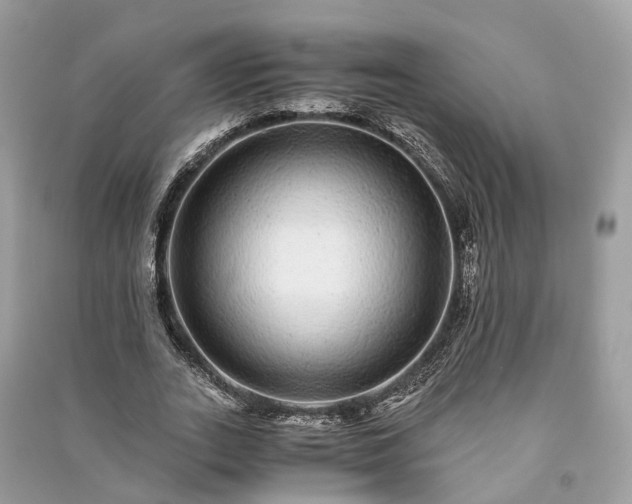 X0000090990727200708091518