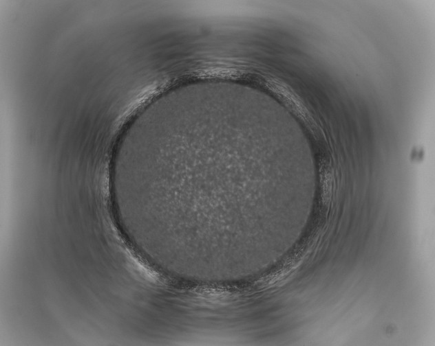 X0000090990729200708091518