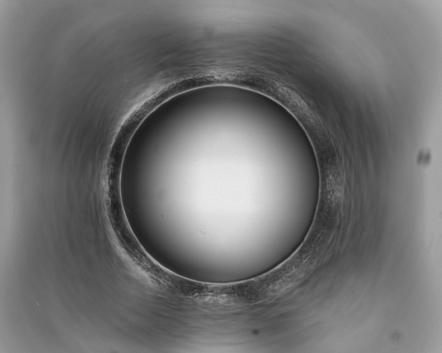 X0000090990730200708091518