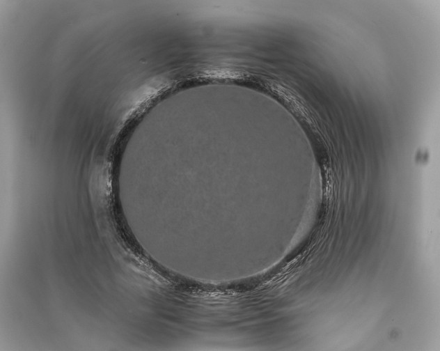 X0000090990731200708091518