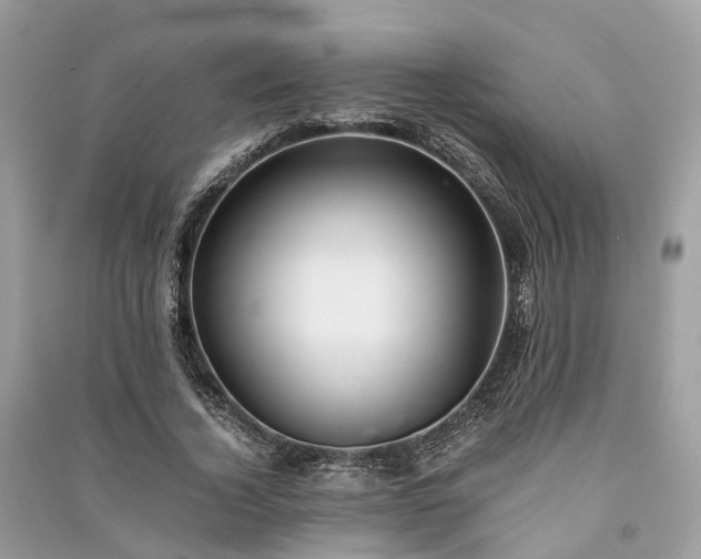 X0000090990732200708091518