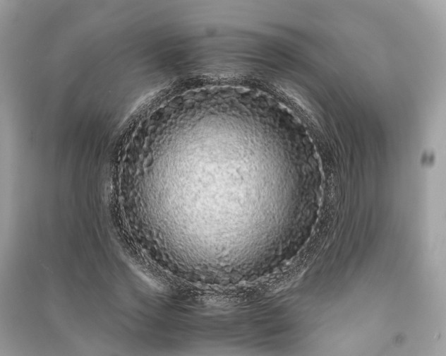 X0000090990733200708091518