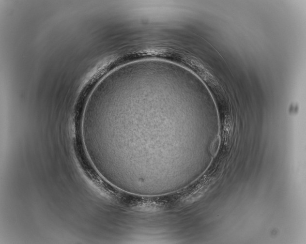 X0000090990734200708091518