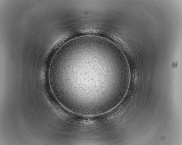 X0000090990735200708091518