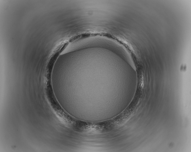 X0000090990736200708091518