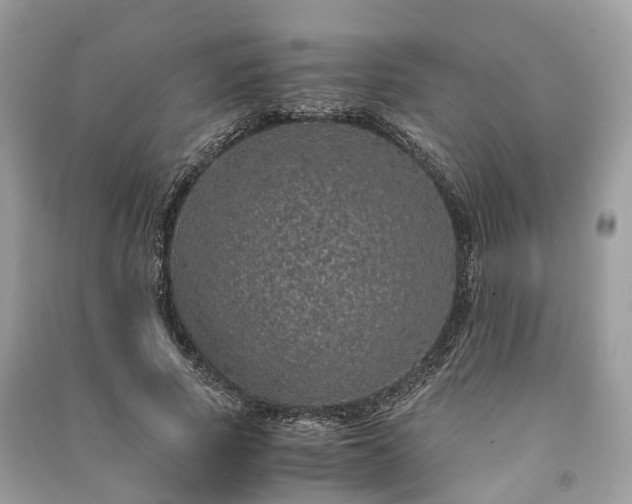 X0000090990737200708091518