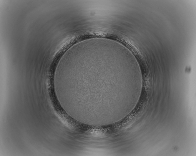 X0000090990738200708091518