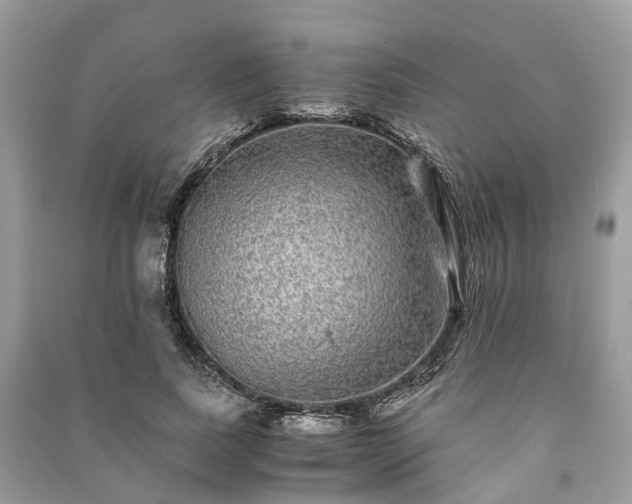 X0000090990739200708091518