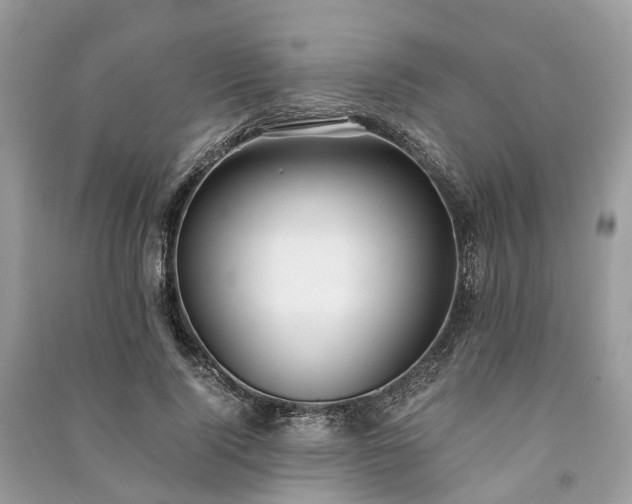 X0000090990740200708091518