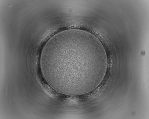 X0000090990742200708091518