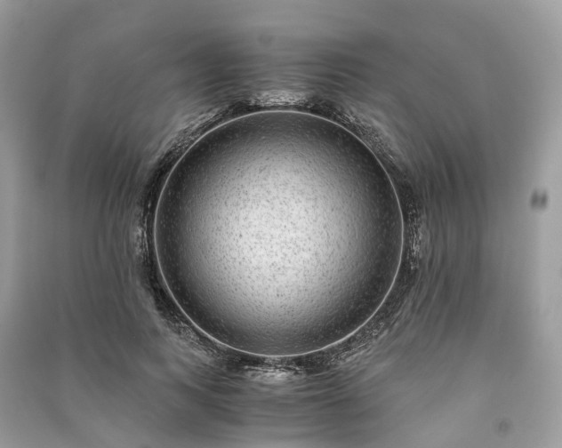 X0000090990743200708091518