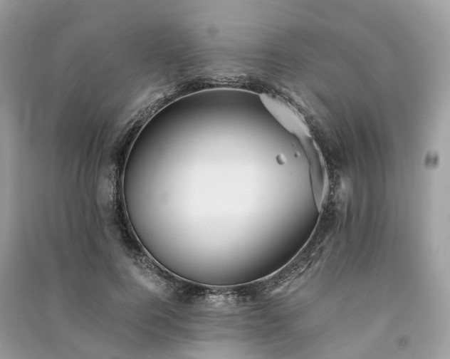 X0000090990744200708091518