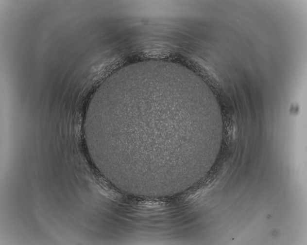 X0000090990745200708091518