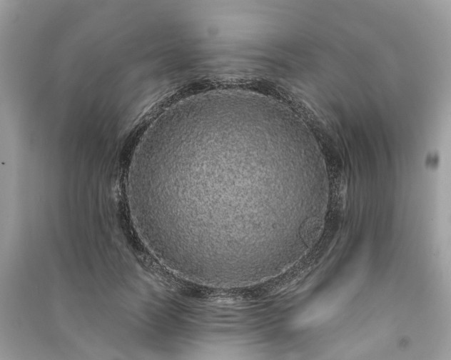 X0000090990746200708091518