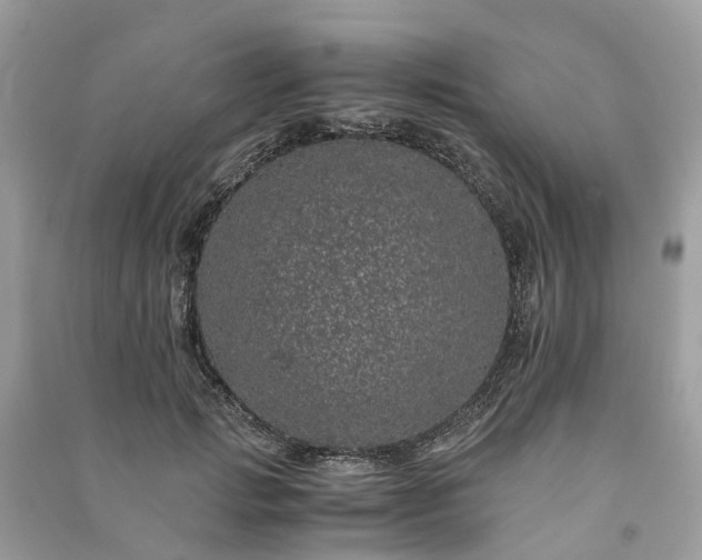 X0000090990749200708091518